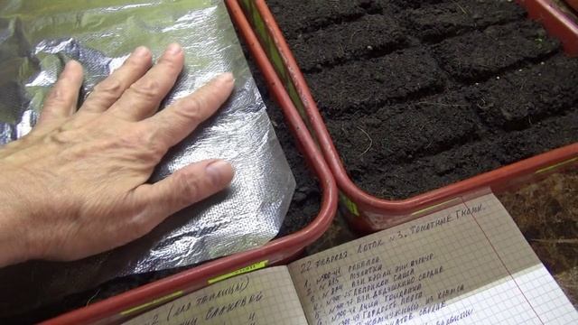 ПОСЕВЫ 2026-25. Первый посев семян томатов. Рассказываю коротко. смотреть онлайн