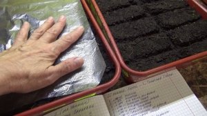 ПОСЕВЫ 2026-25. Первый посев семян томатов. Рассказываю коротко.