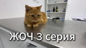 Жизнь одного человека 3 серия