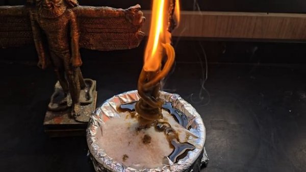 💥 ДО 24 ФЕВРАЛЯ! 1 Раз в Год — Открой Денежный Поток. Деньги Пойдут Сразу!