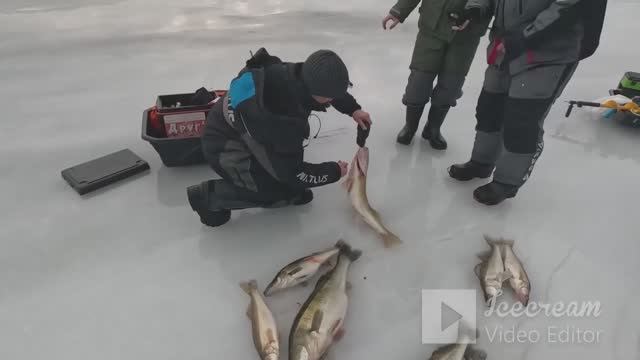 рыбачу на новые приманки.рыба еле пролезла в лунку смотреть онлайн