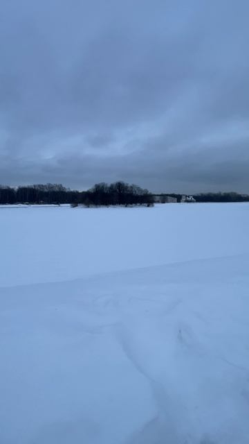 Вайб Кусково зима 2026 смотреть онлайн