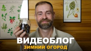 ВИДЕОБЛОГ: ЗИМНИЙ ОГОРОД УЖЕ РАСТЁТ. Что я уже посадил и другие заботы.
