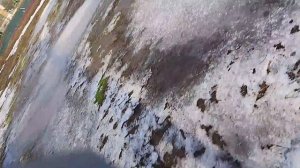 Влог с улицы|ПТАВА|ПДБ