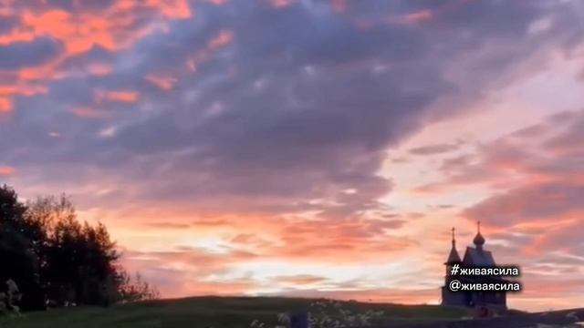 Соловей Звуки природы #звукиприроды