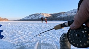 Донские Судаки просто обожают эту приманку!