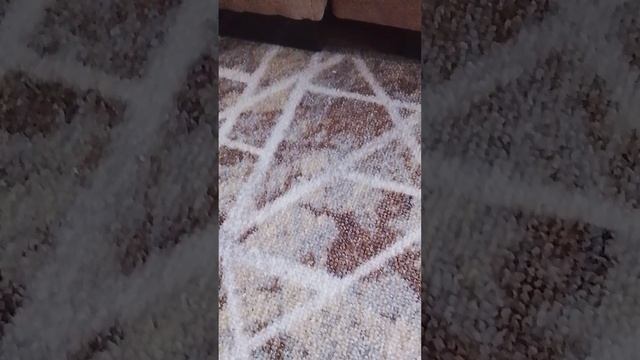 Arina lime 🍋🟩 смотреть онлайн