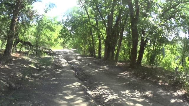 №223. Вело-этап: Окрестности станицы Кочетовской, 8 августа.