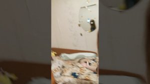 Обзор на мой дом!