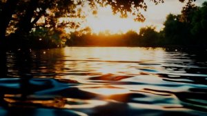 Нейросеть или человек.