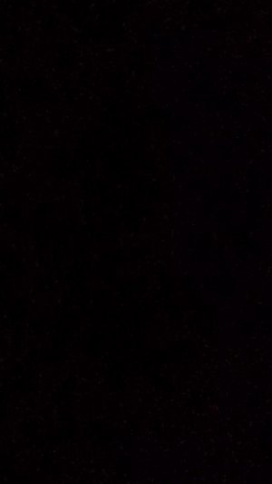 утро с Алисой