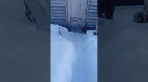 показываю дачу