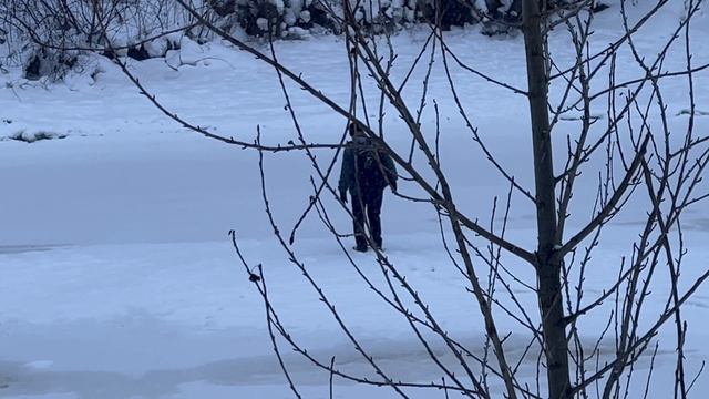 Апарвеню 2602 смотреть онлайн