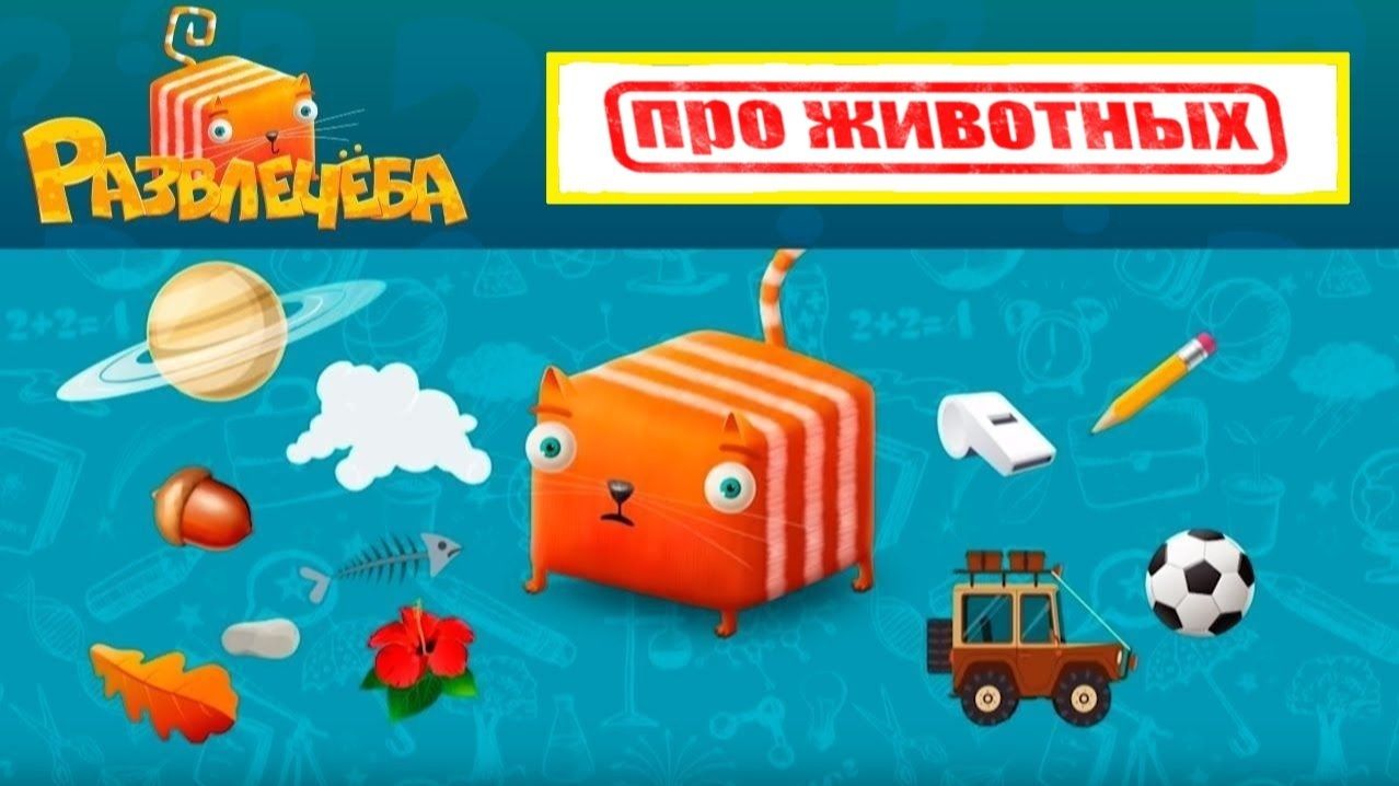 Кубокот в школу без забот Неделя 15 смотреть онлайн