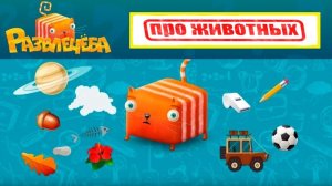 Кубокот в школу без забот Неделя 15