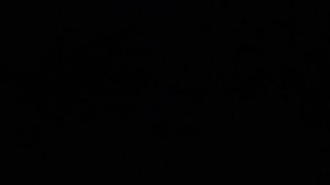 Находка памятной книги