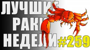 ЛРН выпуск №259 🤪 АФК нагибатор и БЕЗУМНЫЙ таран [Лучшие Раки Недели]