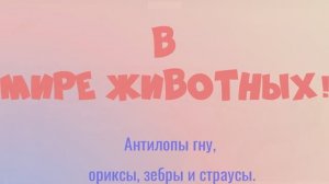 В мире животных ч.1