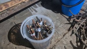 356. Виноград проращиваю. Снег кидаю.