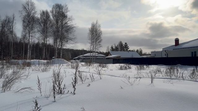 Участок ИЖС 11 соток. Палкинский торфяник.