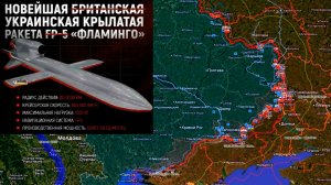 Карта боевых действий. Характеристики крылатой ракеты "Фламинго"