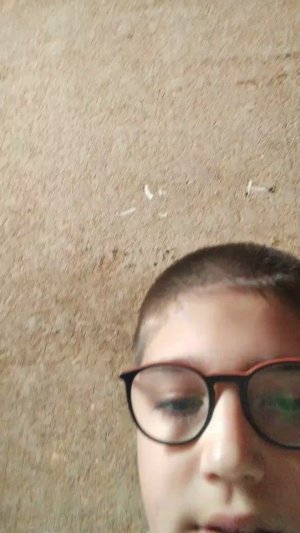 задание за ваши деньги