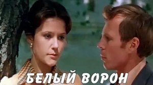 Белый ворон  1980 - 1981