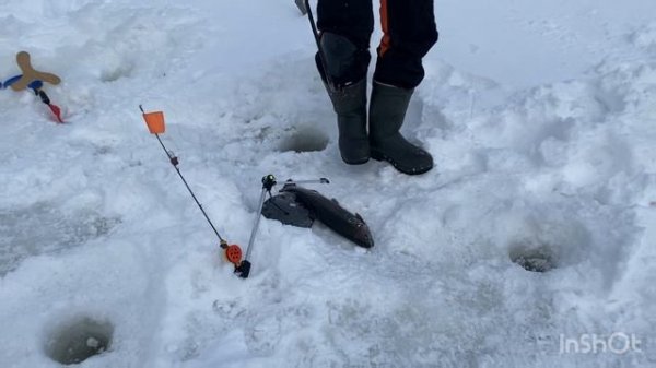 22.02.26 - поимки форели