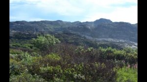 Полуостров Немецкий часть 9 фото