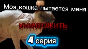 Моя кошка пытается меня уничтожить 4 серия
