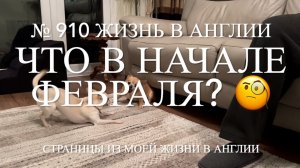 Пол болеет. Новости начала фераля. № 910 Жизнь в Англии