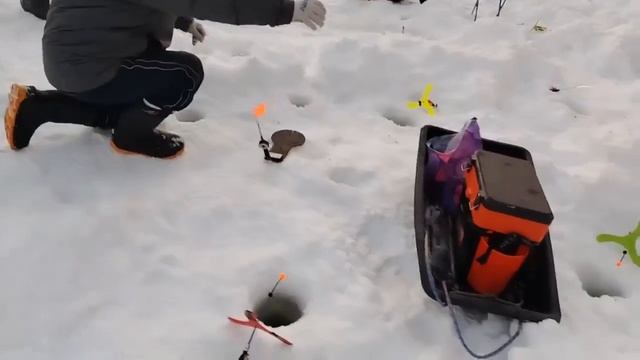 22.02.26 г. РК Волна. смотреть онлайн