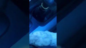 💣ДУШЕВНЫЙ ШАНСОН💯-Крылья Верности💥💯🙏 Основано на реальных событиях💥💯