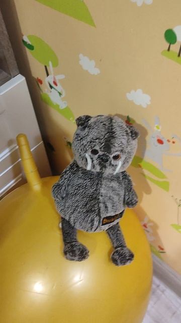 ВЕЧЕРНИЙ ВЛОГ С МОИМИ БАСИКАМИ😺