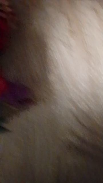 лепка смотреть онлайн