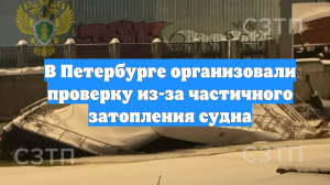 В Петербурге организовали проверку из-за частичного затопления судна