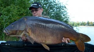 Ловля крупных карпов в Европе. 2015 г. часть 5