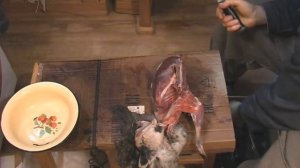 Как ободрать гуся (снять с него шкуру), почистить и разделать по суставам