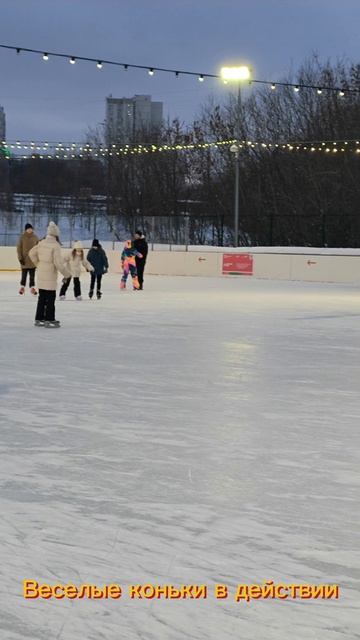 Веселые коньки