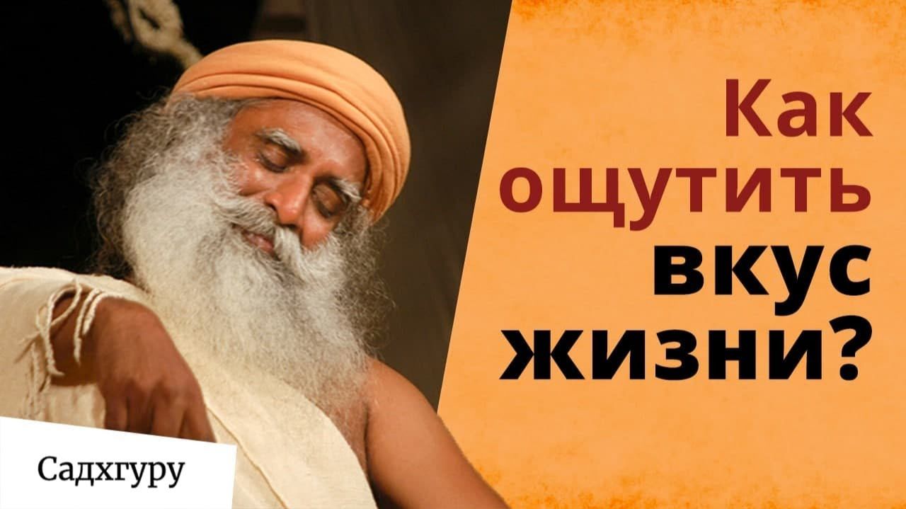 Познай вкус настоящей жизни смотреть онлайн