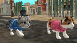 обзор на игру 𝕮𝖆𝖙 𝖘𝖎𝖒 ❕