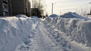 Прогулка.  22.02.2026 год.