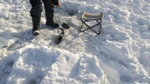 VID_20260222_104532_824