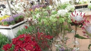 АптекарскийФевраль