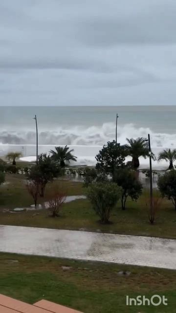 Шторм! Это Сочи, детка! смотреть онлайн