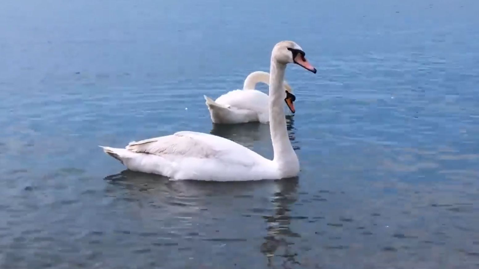 Музыка для души _ Релакс видео смотреть онлайн