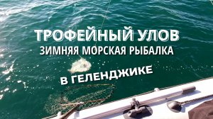 Зимняя морская рыбалка в Геленджике 2026 | Трофейный улов