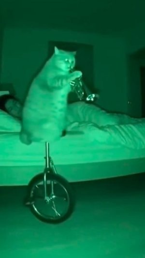 Только стоит выключить свет