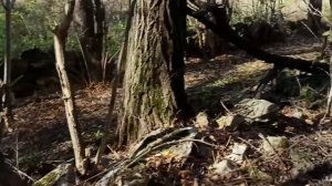 7 ноября 2023г.Мой дом.Огород практически готов)