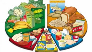 ЭКОНОМНОЕ МЕНЮ : Съедено продуктов питания 16-22  ПОДПИШИСЬ